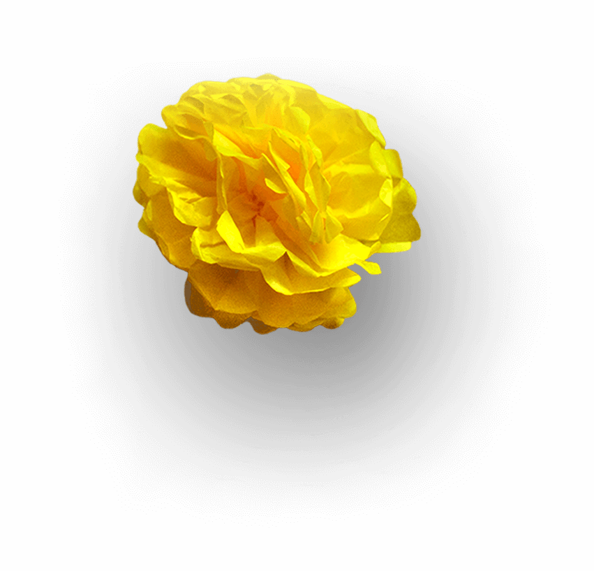 yellow-flower Flor de Papel Amarilla